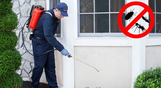 Güneysınır Gümüşkurt İlaçlama böcek ilaçlama ve haşere kontrolü — ilaclama-tr.com